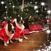 Sandra Correll Moss - @sandracorrellmoss - TikTok