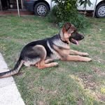Sandra Corro - @sandra.corro.71 - Instagram