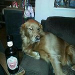 Sandra Corwine - @sandracorwine - Instagram
