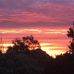 Sandra Costello - Facebook