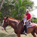 Sandra Cottrell - @cottrell317 - Instagram