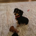 Sandy Cottrell - @sandy.cottrell.79 - Instagram