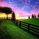 Sandy Cottrell - @sandycottrell1 - Instagram