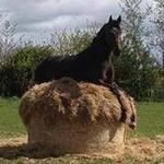 sandycot - @sandra.cottrell49 - Instagram
