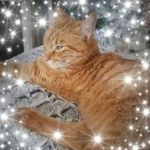 Sandra Coulon - @sandra_71100 - Instagram