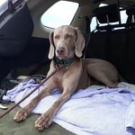 Sandra Coulson - @coulson.sandra - Instagram