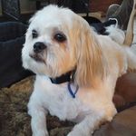 Sandra Coulson - @sandra.coulson.754 - Instagram