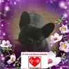Sandra Couvert - @sandracouvert - TikTok