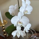 Sandra Winter Heckman Covert - @sandra.w.covert - Instagram