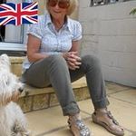 Sandra Cox - @sandracox8234 - Instagram