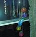 Sandra Craven - Facebook