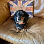 Sandra Craven - @littlefelloweric - Instagram