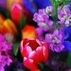 sandracreary - @sandra.creary - TikTok