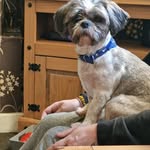 Sandra Cresswell - @sandra.cresswell1965 - Instagram