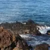 Sandra Cribbes - @sandra.cribbes - TikTok