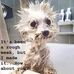 Sandra Crippen - Facebook