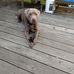 Sandra Crippen - Facebook
