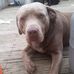 Sandra Crippen - Facebook