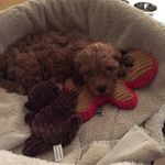 Sandra Cripps - @sandracripps45 - Instagram