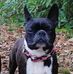 Sandra Grassinger - Facebook
