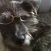 Sandra Critchlow - Facebook