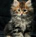 Sandra Crites - Facebook