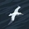 Sandra Croce - @sandra.croce4 - TikTok
