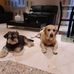 Sandra Crocetti - Facebook
