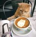 Sandra Crocetti - Facebook