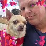 Sandra Newton Cronin - @missyfun01 - Instagram