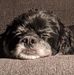 Sandra Cronk - Facebook