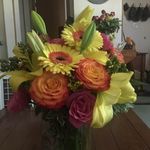 Sandra Ashley Crook - @sandraashleycrook - Instagram