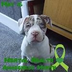 Sandra Bousfield Crook - @bousfieldcrook - Instagram