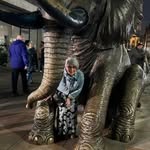Sandra Crook - @sandracrook778 - Instagram