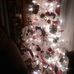 Sandra Croom - Facebook
