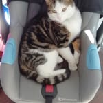 Sandra Crossley - @crossley7224 - Instagram