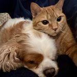 Sandy Crowell - @crowellsandy - Instagram