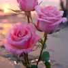 Sandra Crown - @sandra.crown09 - TikTok