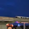 Sandra Crown - @sandra.crown003 - TikTok
