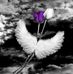 Sandra Crowson - Facebook