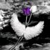 Sandra Crowson Sandy - Facebook