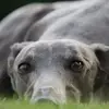 Sandra Rümpler - @sandrarmplr - TikTok