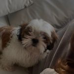 Sandra Cuéllar - @sandra.cuellar74 - Instagram