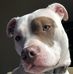 Sandra Curcio - Facebook