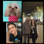 Sandra Curcio A Pereira - @sandracurcio - Instagram