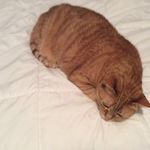 Sandra McAvoy Teoli Dabbs - @mcavoyteolidabbs - Instagram