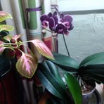 Sandra Dabney - Facebook