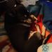Sandra Dahlberg - Facebook
