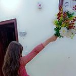 Sandra Daigle - @whitehatbuzz1 - Instagram