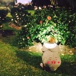 Private only. - @sandra___daily - Instagram